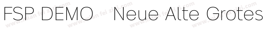 FSP DEMO   Neue Alte Grotesk字体转换